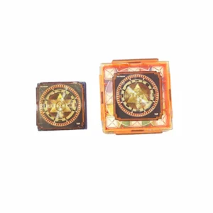 Toilet Remedy with Proyantra - Image 3