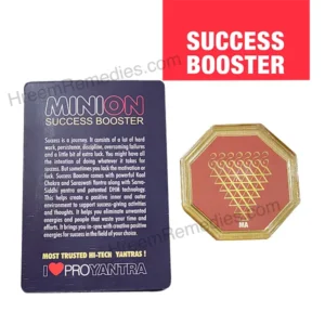 MiniOn Vaastu Kit - Image 12