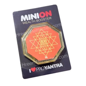 MiniOn Vaastu Kit - Image 9