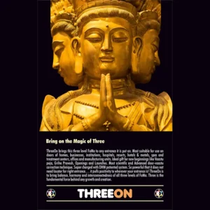 ThreeOn 3x All in 1 Door Correction - Image 3