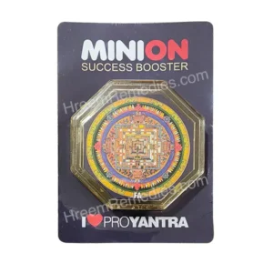 MiniOn Vaastu Kit - Image 11