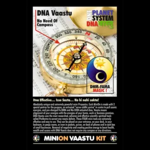 MiniOn Vaastu Kit - Image 4