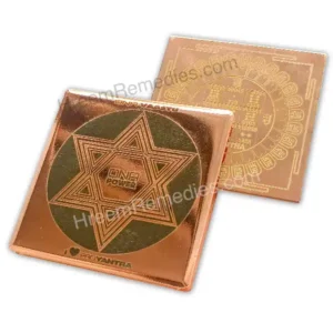 FaMa Passport Copper - Image 3