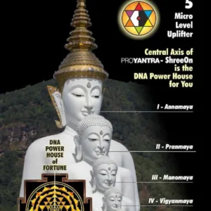 ShreeOn - Shri Yantra with Pyramid - Image 3