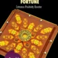 DvarOn Fortune 8-directional Vaastu door activator for entrance correction, luck, success and prosperity