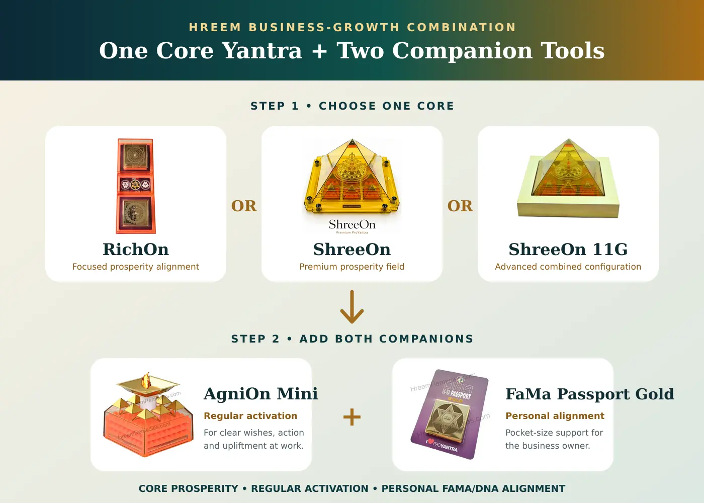 Business growth combination with RichOn ShreeOn or ShreeOn 11G plus AgniOn Mini and FaMa Passport Gold
